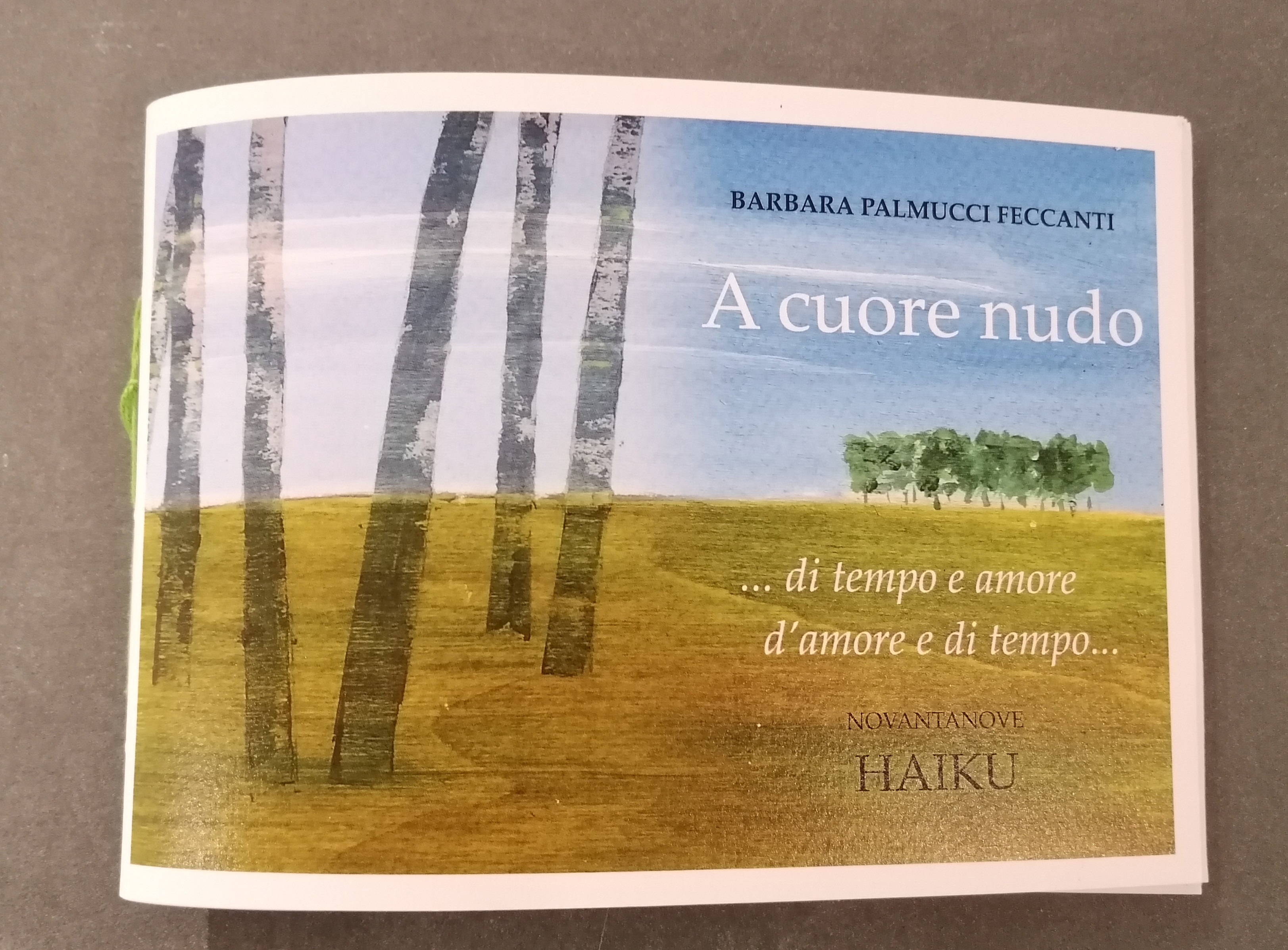 A CUORE NUDO 99 HAIKU