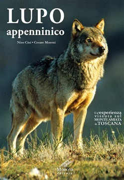 LUPO APPENNINICO