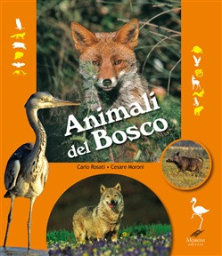 ANIMALI DEL BOSCO