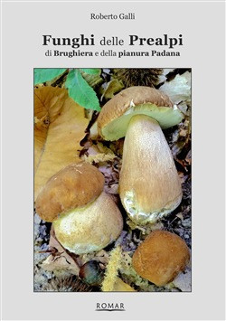FUNGHI DELLE PREALPI