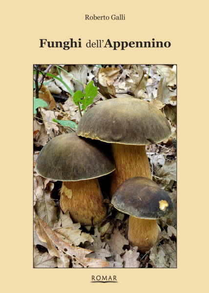 FUNGHI DELL'APPENNINO