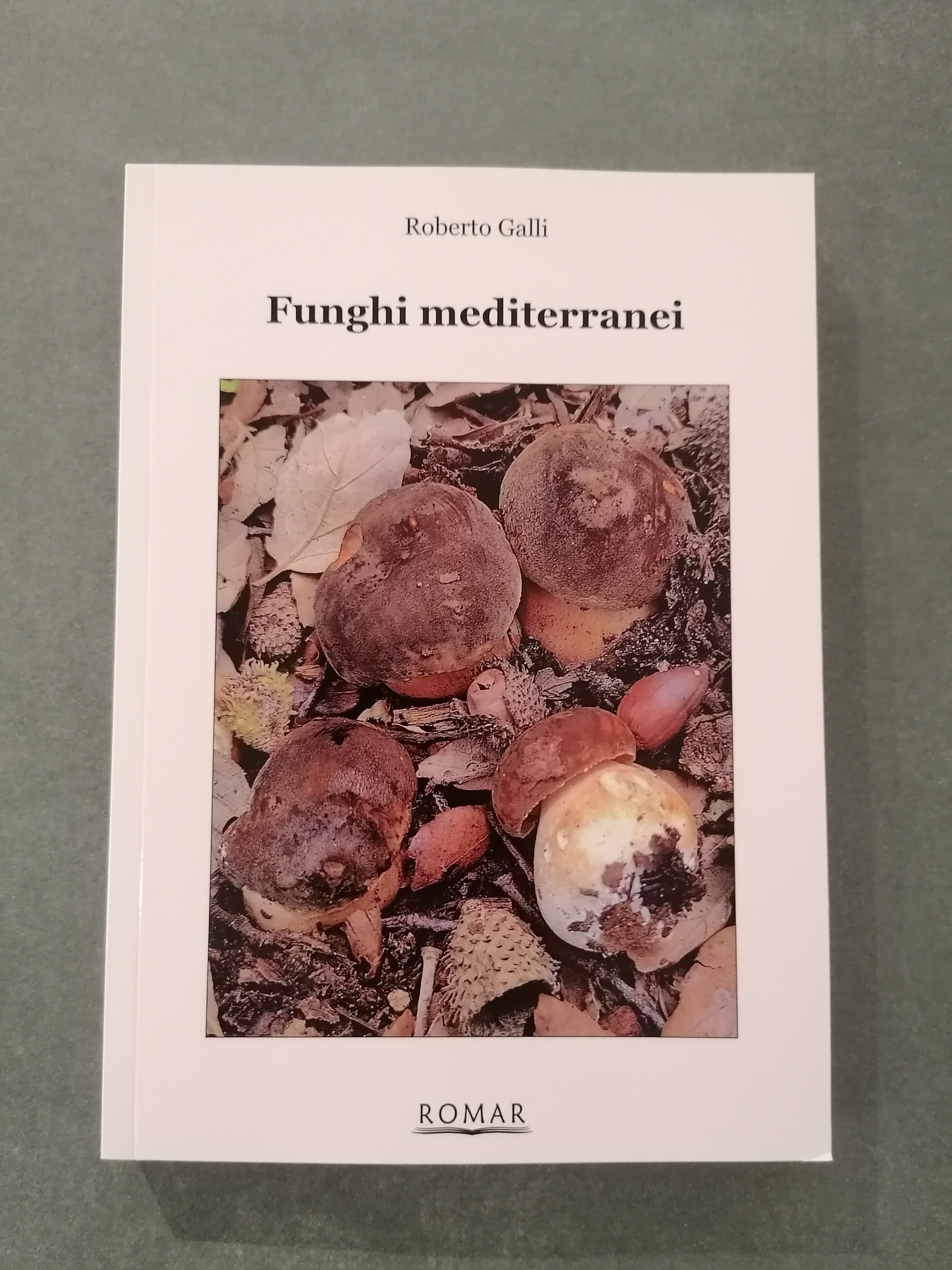 FUNGHI MEDITERRANEI