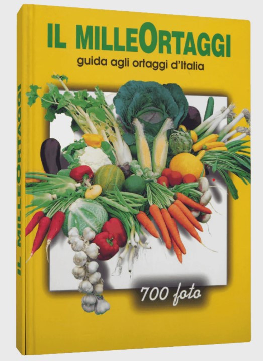 IL MILLEORTAGGI