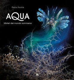 AQUA