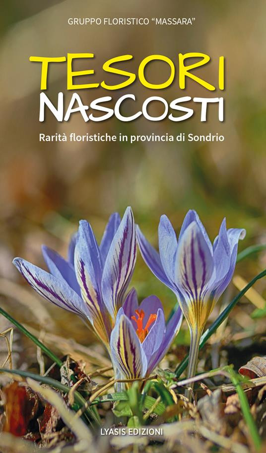 TESORI NASCOSTI
