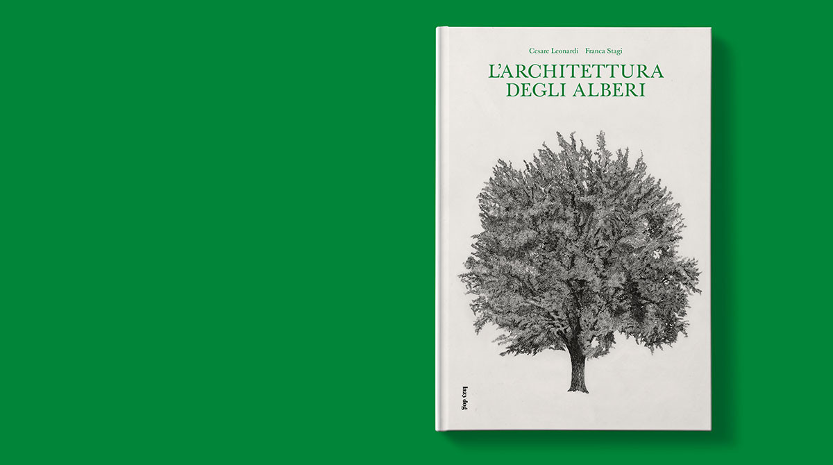 L ARCHITETTURA DEGLI ALBERI