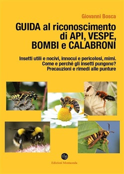 GUIDA AL RICONOSCIMENTO DI API VESPE BOMBI E CALABRONI