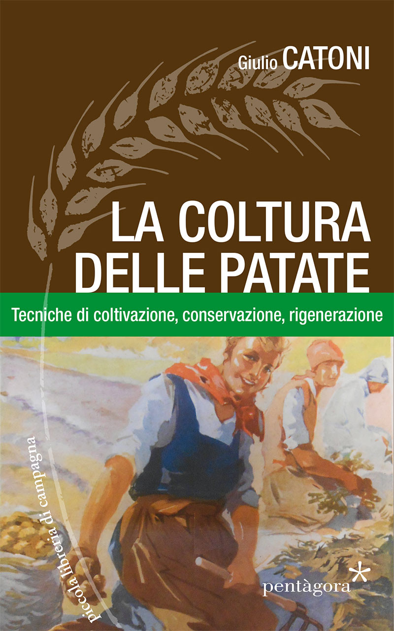 LA COLTURA DELLE PATATE