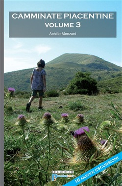 CAMMINATE PIACENTINE VOLUME 3