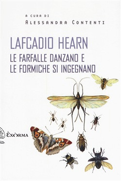 LE FARFALLE DANZANO E LE FORMICHE INSEGNANO