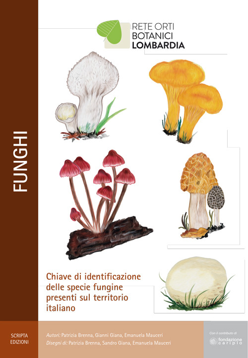 FUNGHI