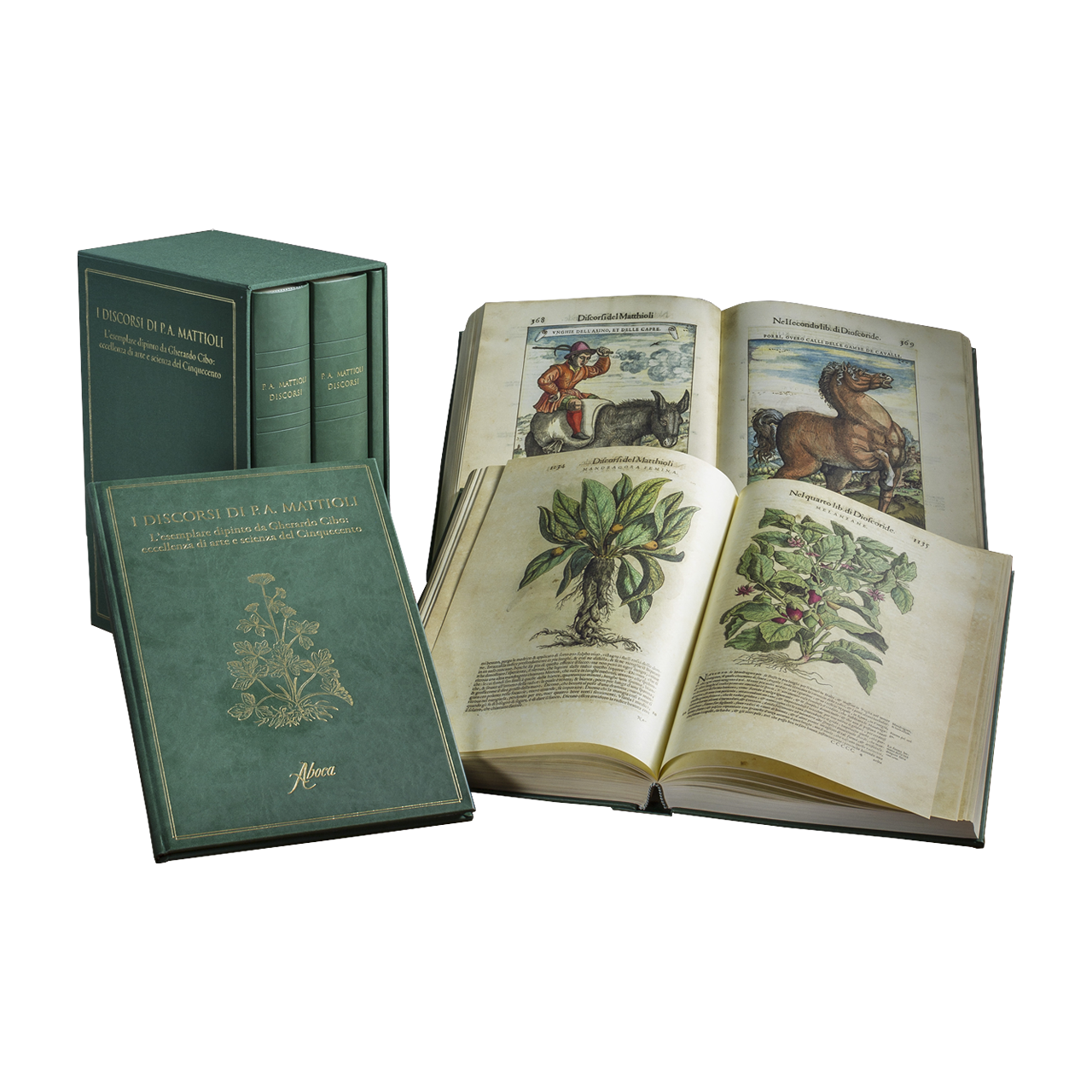 I DISCORSI DI P. A. MATTIOLI