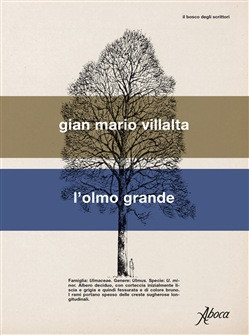 L OLMO GRANDE