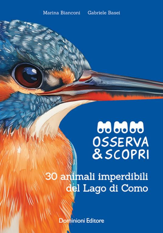 OSSERVA & SCOPRI