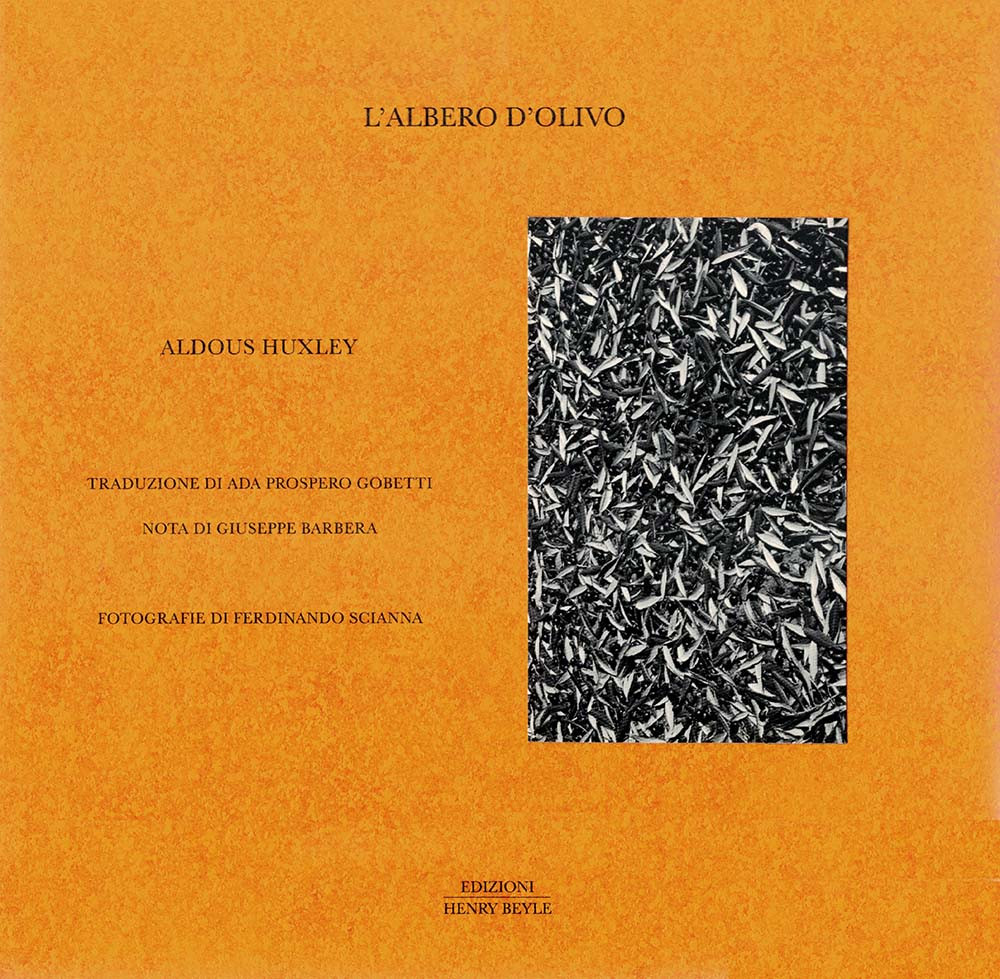 L ALBERO D OLIVO