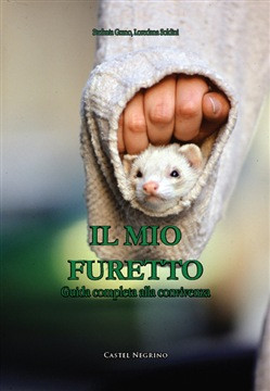 IL MIO FURETTO