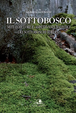 IL SOTTOBOSCO