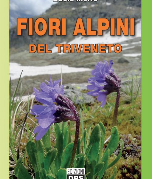 FIORI ALPINI DEL TRIVENETO