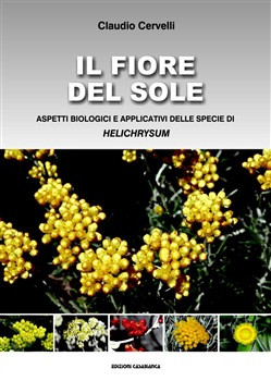 IL FIORE DEL SOLE