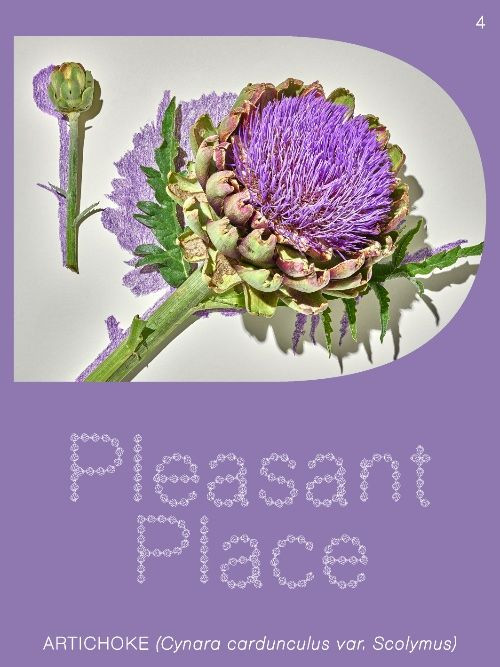 PLEASANT PLACE 4: ARTICHOKE