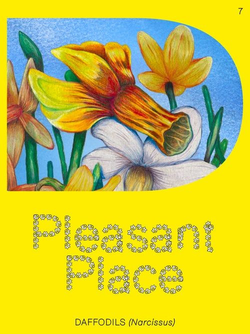  PLEASANT PLACE 7 DAFFODILS