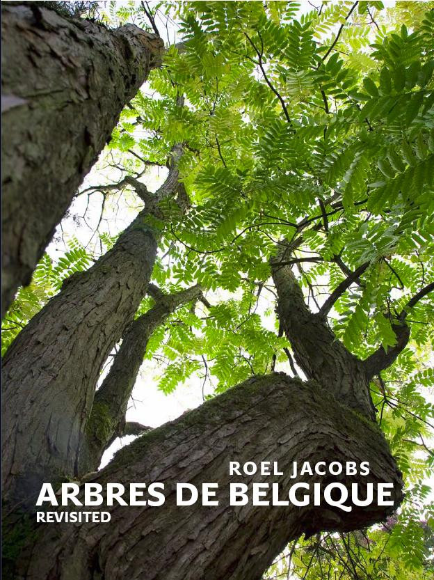 TREES OF BELGIUM