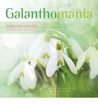 GALANTHOMANIA SNOWDROPS