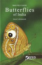 BUTTERFLIES OF INDIA