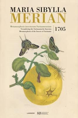 MARIA SIBYLLA MERIAN METAMORPHOSIS INSECTORUM SURINAMENSIUM