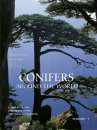 CONIFERS AROUND THE WORLD