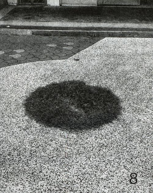 FORMING CITYSCAPES #8 PLANTS