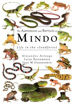 THE AMPHIBIANS AND REPTILES OF MINDO