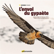 L ENVOL DU GYPAETE
