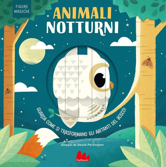 ANIMALI NOTTURNI