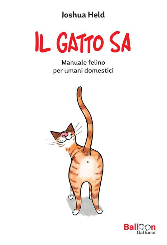IL GATTO SA