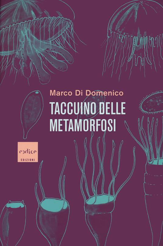 TACCUINO DELLE METAMORFOSI