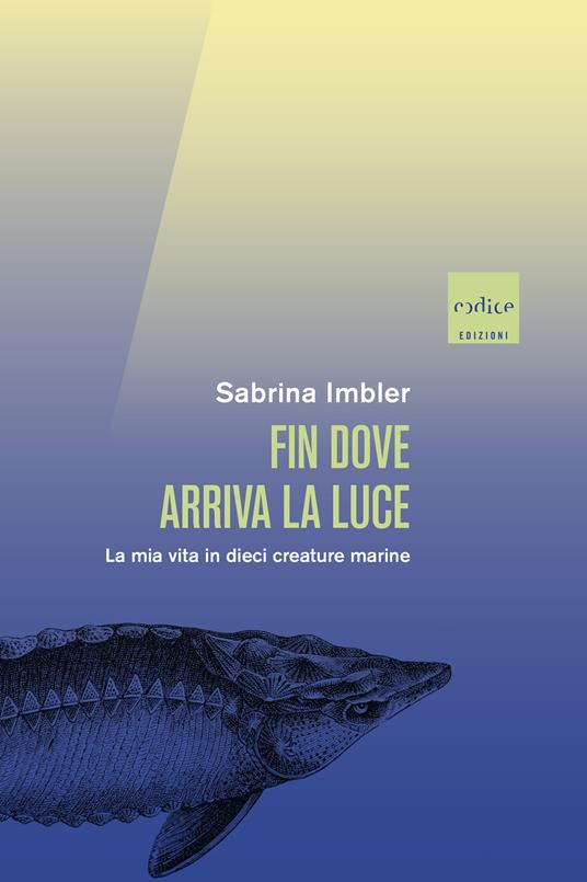 FIN DOVE ARRIVA LA LUCE