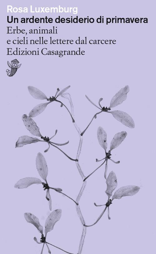 UN ARDENTE DESIDERIO DI PRIMAVERA