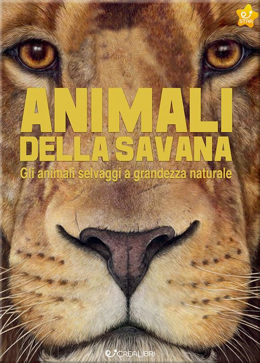 ANIMALI DELLA SAVANA