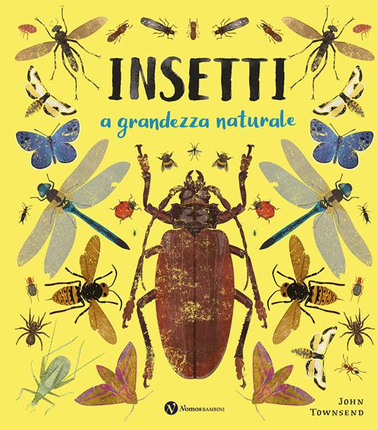 INSETTI A GRANDEZZA NATURALE