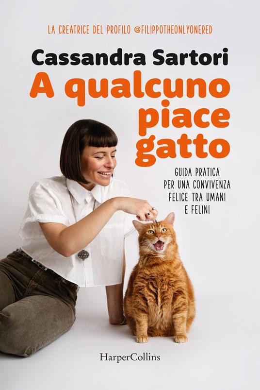 A QUALCUNO PIACE GATTO GUIDA PRATICA PER UNA CONVIVENZA FELICE TRA UMANI E FELINI