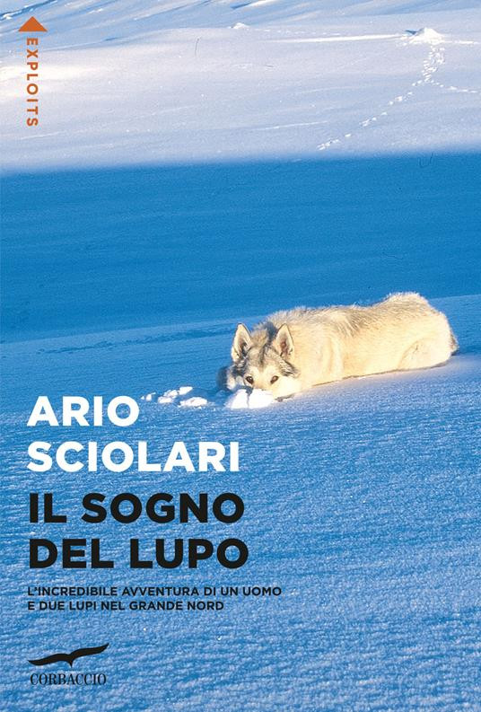 IL SOGNO DEL LUPO