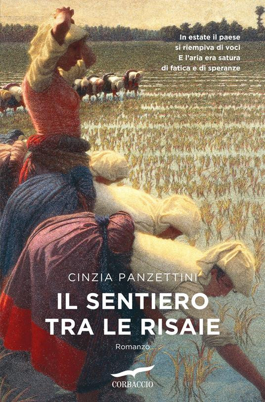 IL SENTIERO TRA LE RISAIE