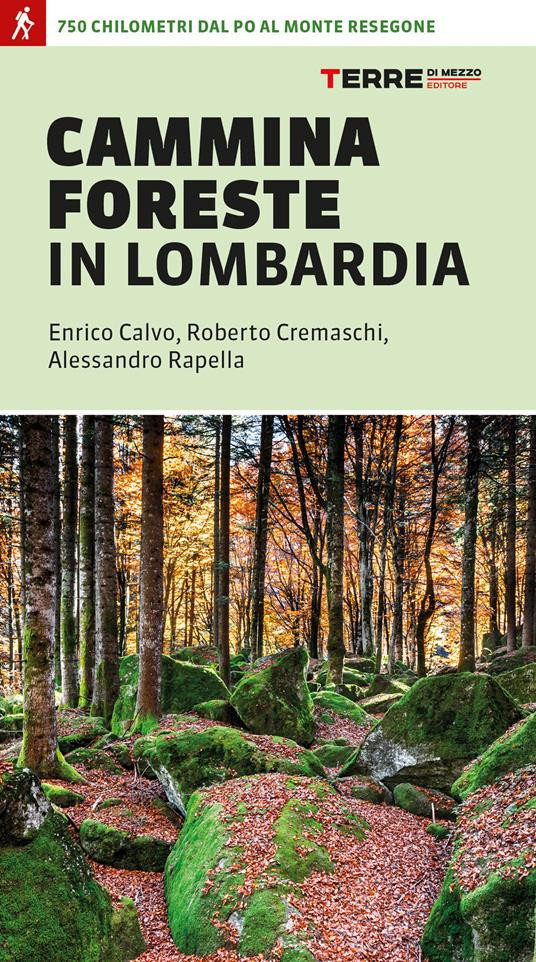 CAMMINA FORESTE IN LOMBARDIA