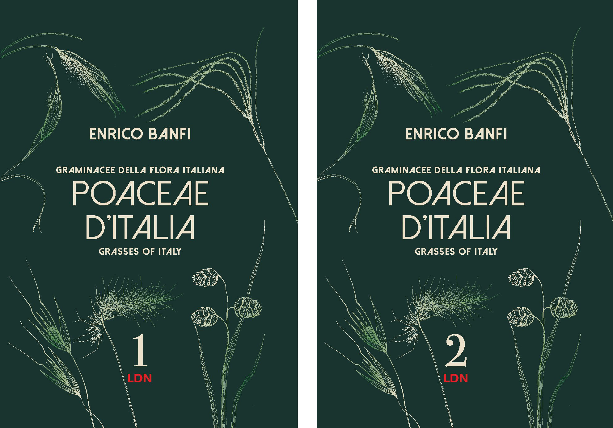 POACEAE D ITALIA