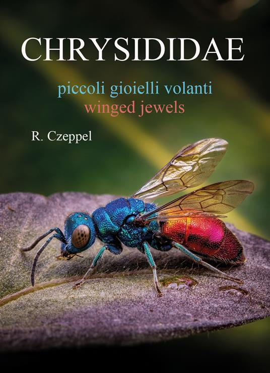 CHRYSIDIDAE