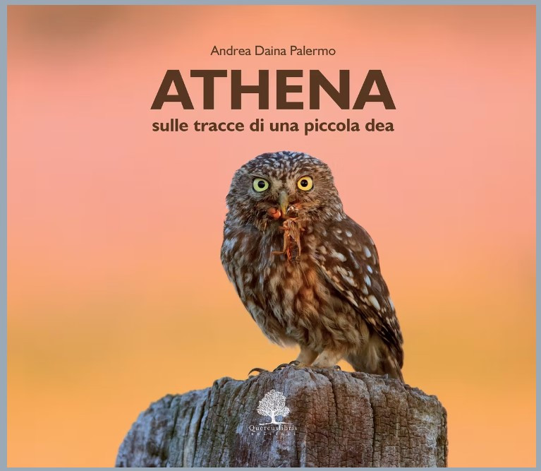 ATHENA