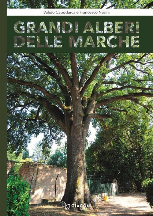GRANDI ALBERI DELLE MARCHE
