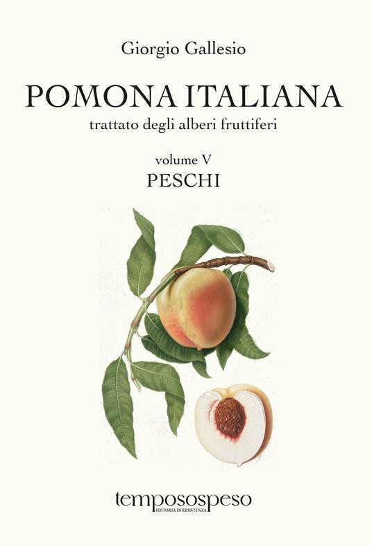 POMONA ITALIANA VOLUME VI PESCHI