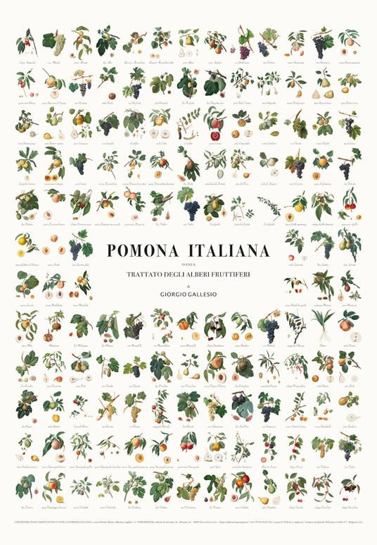 MANIFESTO DEI FRUTTI DELLA POMONA ITALIANA